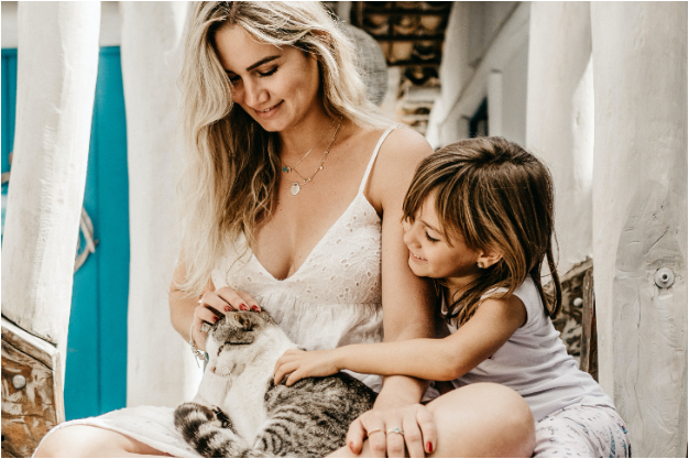 ¿Mi gato me quiere? Esta popular inquietud ya tiene respuesta