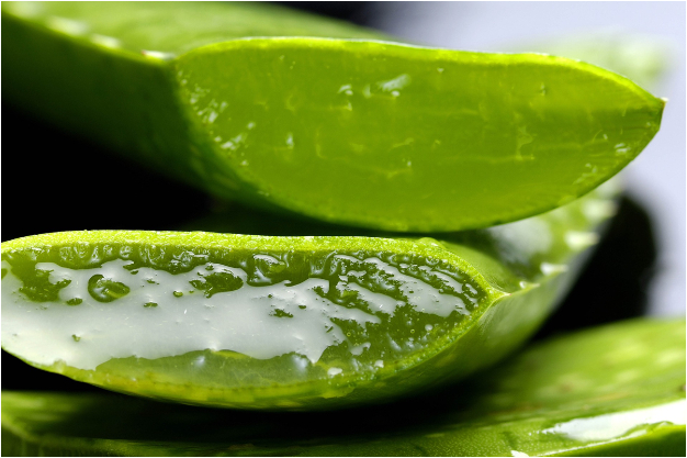 Dale una bomba natural a tu cabello con este shampoo de aloe vera