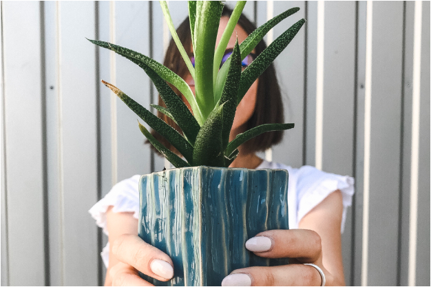 Dale una bomba natural a tu cabello con este shampoo de aloe vera
